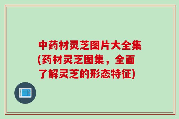 中药材灵芝图片大全集(药材灵芝图集，全面了解灵芝的形态特征)