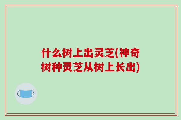 什么树上出灵芝(神奇树种灵芝从树上长出)