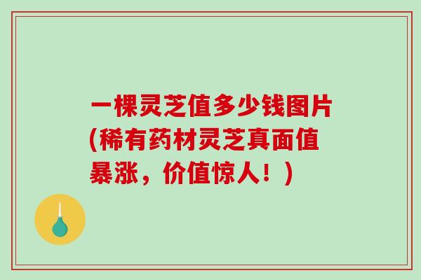 一棵灵芝值多少钱图片(稀有药材灵芝真面值暴涨，价值惊人！)