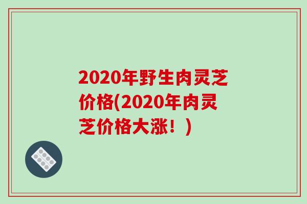 2020年野生肉灵芝价格(2020年肉灵芝价格大涨！)