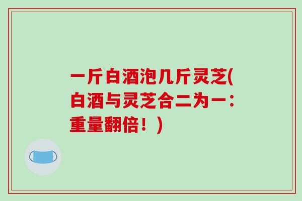 一斤白酒泡几斤灵芝(白酒与灵芝合二为一：重量翻倍！)