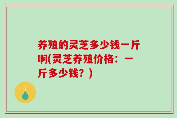养殖的灵芝多少钱一斤啊(灵芝养殖价格：一斤多少钱？)