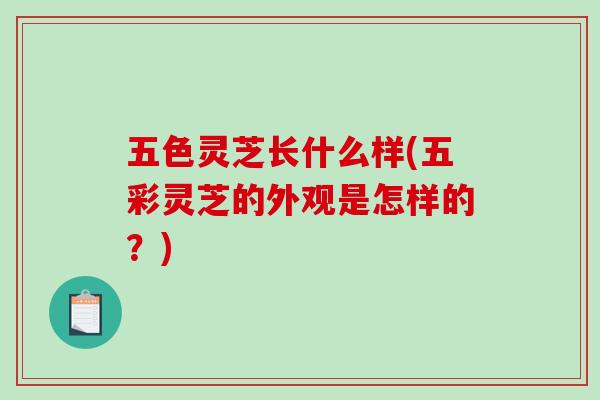 五色灵芝长什么样(五彩灵芝的外观是怎样的？)