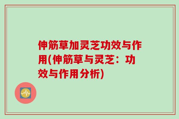 伸筋草加灵芝功效与作用(伸筋草与灵芝：功效与作用分析)