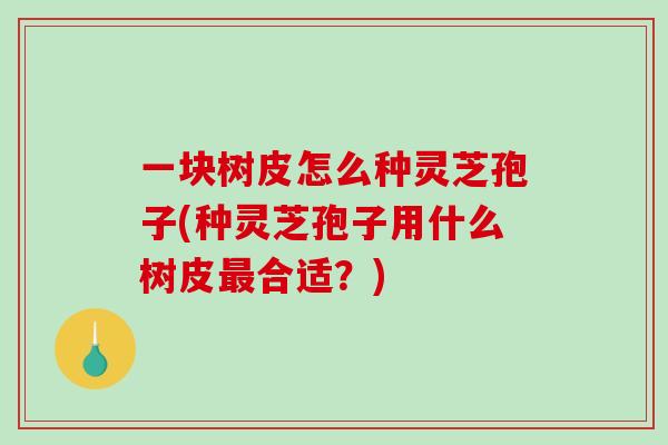 一块树皮怎么种灵芝孢子(种灵芝孢子用什么树皮最合适？)