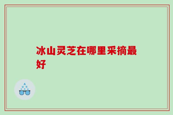 冰山灵芝在哪里采摘最好