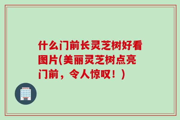 什么门前长灵芝树好看图片(美丽灵芝树点亮门前，令人惊叹！)