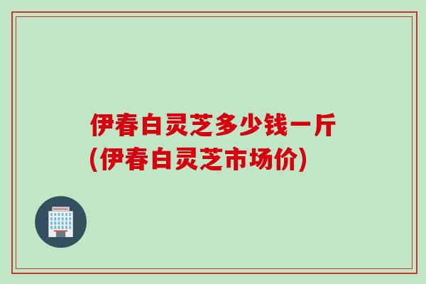 伊春白灵芝多少钱一斤(伊春白灵芝市场价)