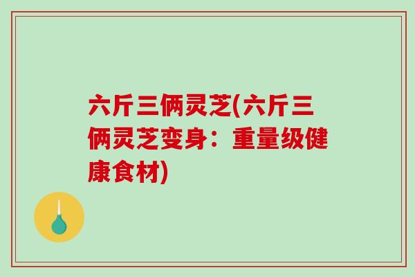 六斤三俩灵芝(六斤三俩灵芝变身：重量级健康食材)