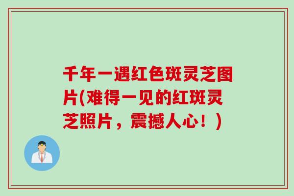 千年一遇红色斑灵芝图片(难得一见的红斑灵芝照片，震撼人心！)
