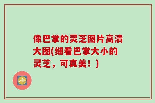 像巴掌的灵芝图片高清大图(细看巴掌大小的灵芝，可真美！)