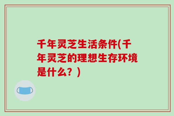 千年灵芝生活条件(千年灵芝的理想生存环境是什么？)