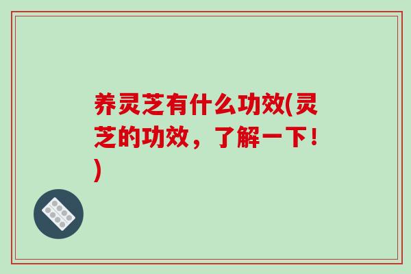 养灵芝有什么功效(灵芝的功效，了解一下！)
