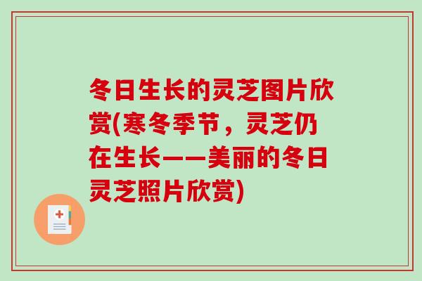 冬日生长的灵芝图片欣赏(寒冬季节，灵芝仍在生长——美丽的冬日灵芝照片欣赏)