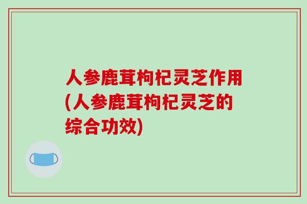 人参鹿茸枸杞灵芝作用(人参鹿茸枸杞灵芝的综合功效)