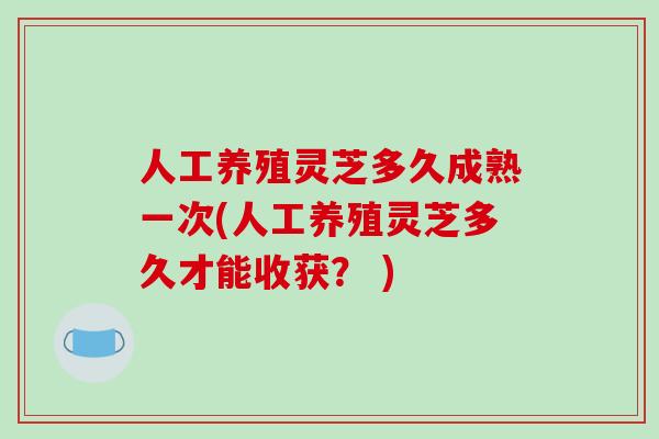 人工养殖灵芝多久成熟一次(人工养殖灵芝多久才能收获？ )