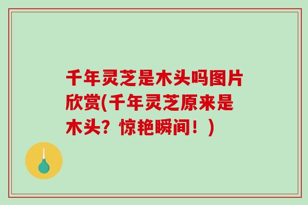 千年灵芝是木头吗图片欣赏(千年灵芝原来是木头？惊艳瞬间！)