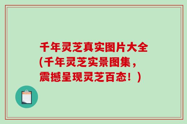 千年灵芝真实图片大全(千年灵芝实景图集,震撼呈现灵芝百态!) 千年灵芝真实图片大全(千年灵芝实景图集,震撼呈现灵芝百态!)