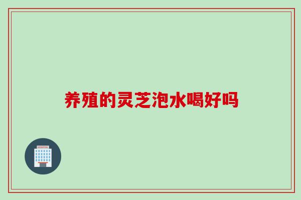 养殖的灵芝泡水喝好吗