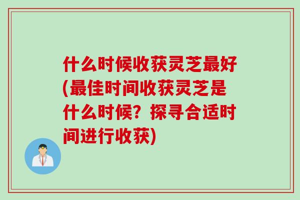 什么时候收获灵芝好(佳时间收获灵芝是什么时候？探寻合适时间进行收获)