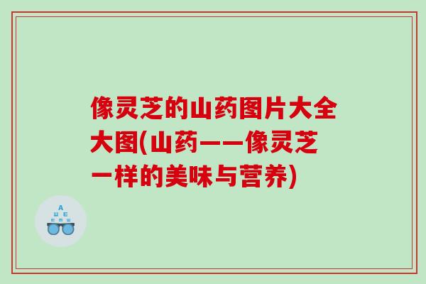 像灵芝的山药图片大全大图(山药——像灵芝一样的美味与营养)