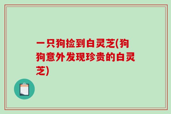 一只狗捡到白灵芝(狗狗意外发现珍贵的白灵芝)