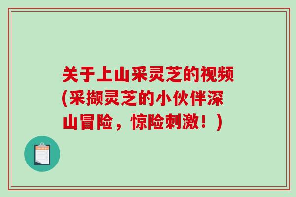 关于上山采灵芝的视频(采撷灵芝的小伙伴深山冒险，惊险刺激！)
