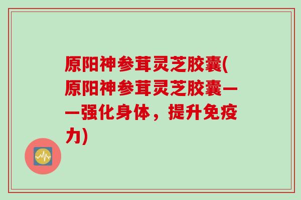 原阳神参茸灵芝胶囊(原阳神参茸灵芝胶囊——强化身体，提升免疫力)
