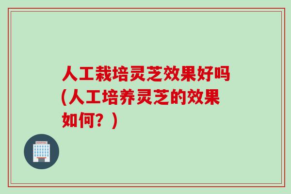 人工栽培灵芝效果好吗(人工培养灵芝的效果如何？)