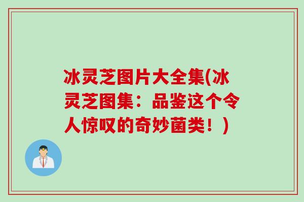 冰灵芝图片大全集(冰灵芝图集：品鉴这个令人惊叹的奇妙菌类！)