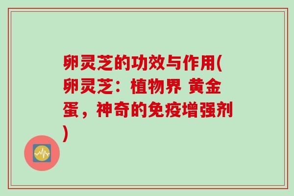 卵灵芝的功效与作用(卵灵芝：植物界 黄金蛋，神奇的免疫增强剂)