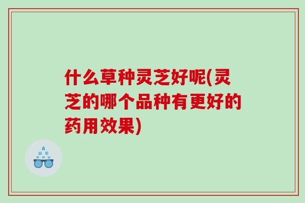 什么草种灵芝好呢(灵芝的哪个品种有更好的药用效果)