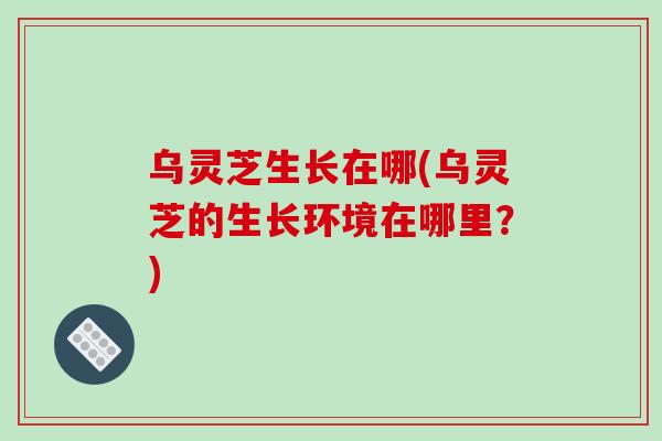 乌灵芝生长在哪(乌灵芝的生长环境在哪里？)