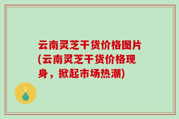 云南灵芝干货价格图片(云南灵芝干货价格现身，掀起市场热潮)