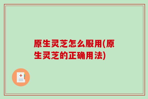 原生灵芝怎么服用(原生灵芝的正确用法)