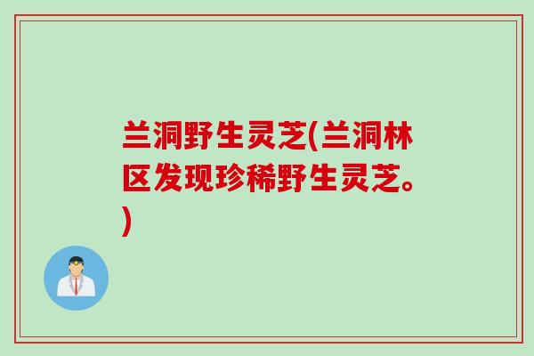 兰洞野生灵芝(兰洞林区发现珍稀野生灵芝。)