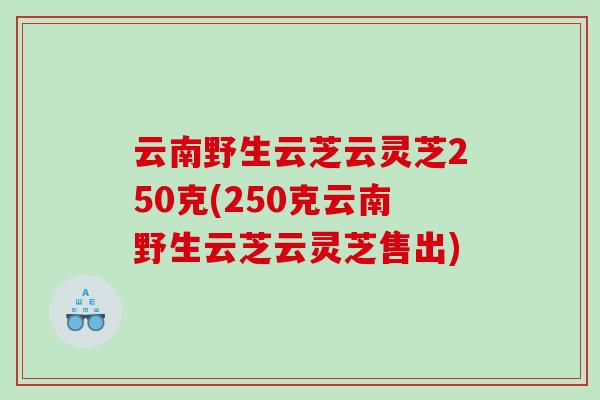 云南野生云芝云灵芝250克(250克云南野生云芝云灵芝售出)