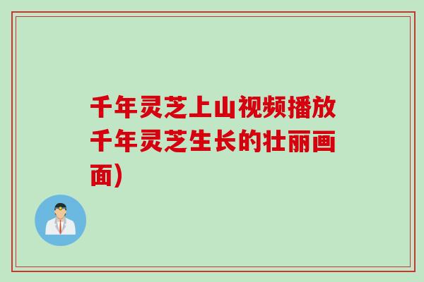 千年灵芝上山视频播放千年灵芝生长的壮丽画面)