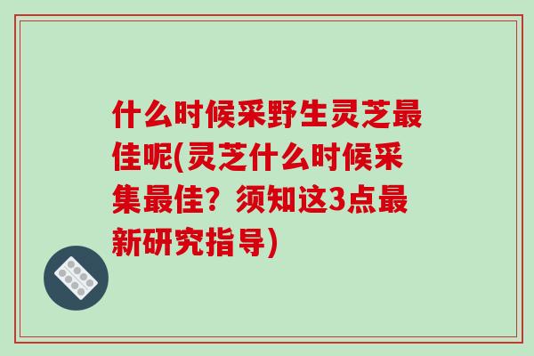 什么时候采野生灵芝最佳呢(灵芝什么时候采集最佳？须知这3点最新研究指导)