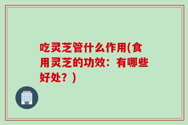 吃灵芝管什么作用(食用灵芝的功效：有哪些好处？)
