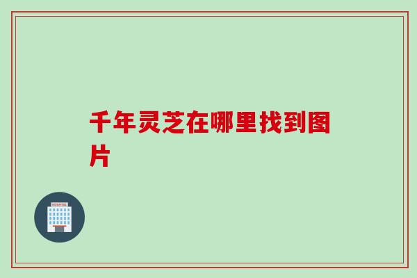 千年灵芝在哪里找到图片