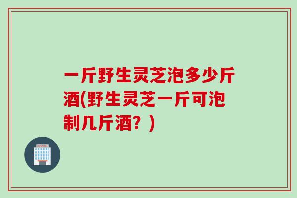 一斤野生灵芝泡多少斤酒(野生灵芝一斤可泡制几斤酒？)