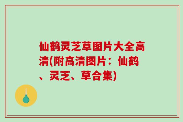 仙鹤灵芝草图片大全高清(附高清图片：仙鹤、灵芝、草合集)