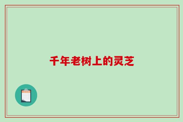 千年老树上的灵芝