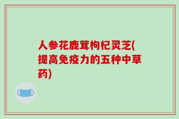 人参花鹿茸枸杞灵芝(提高免疫力的五种中草药)