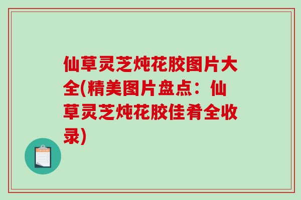 仙草灵芝炖花胶图片大全(精美图片盘点：仙草灵芝炖花胶佳肴全收录)