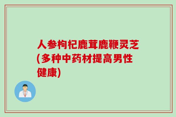 人参枸杞鹿茸鹿鞭灵芝(多种中药材提高男性健康)