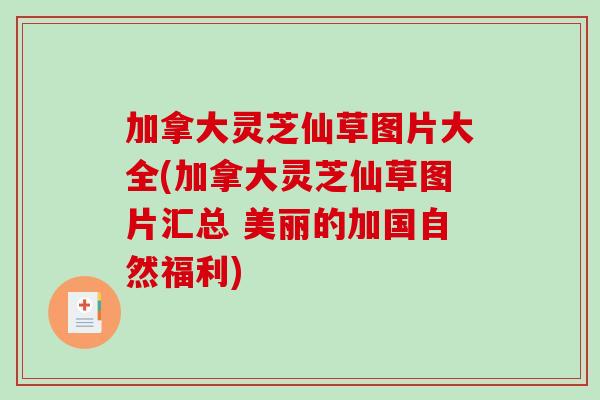 加拿大灵芝仙草图片大全(加拿大灵芝仙草图片汇总 美丽的加国自然福利)