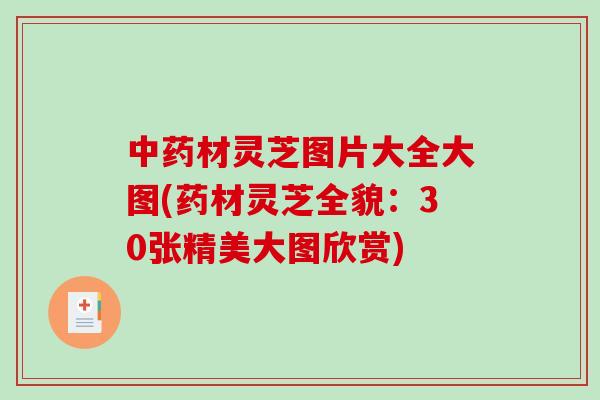 中药材灵芝图片大全大图(药材灵芝全貌：30张精美大图欣赏)