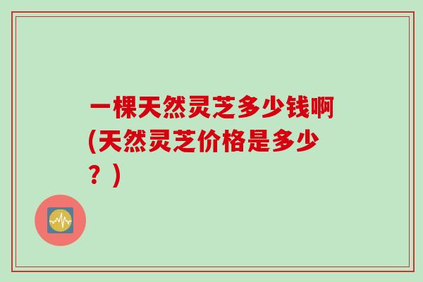 一棵天然灵芝多少钱啊(天然灵芝价格是多少？)